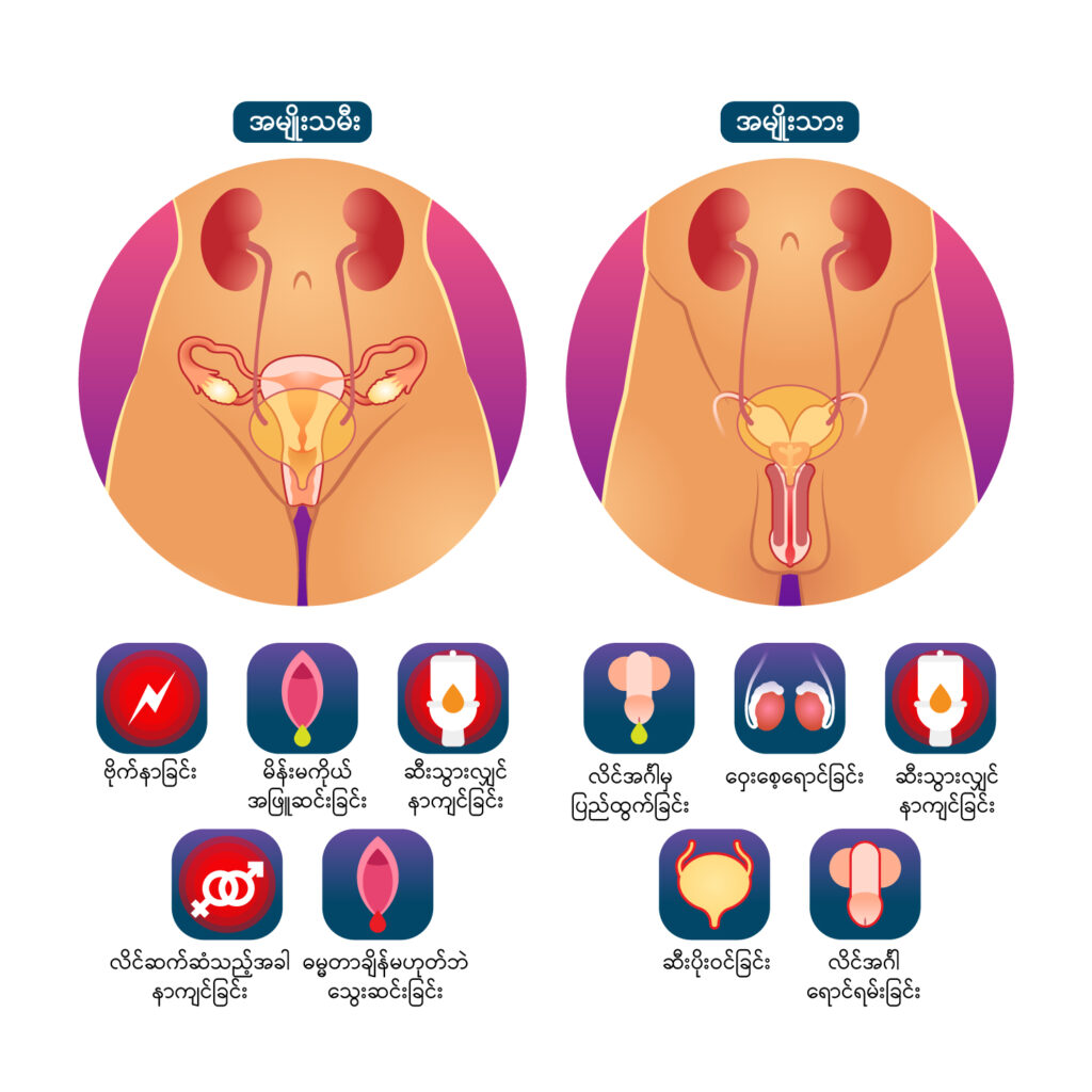 Gonorrhoea img1