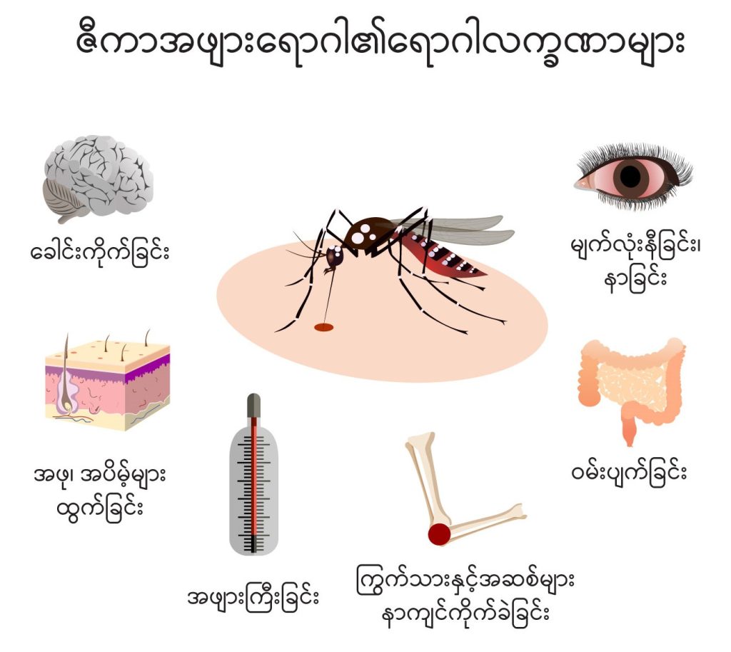 Zika virus image1